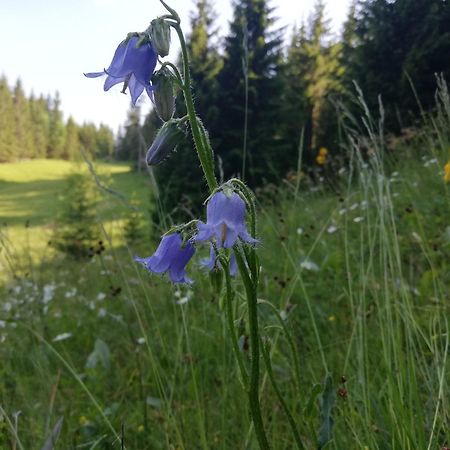 Апартаменти Soba Pri Bregarju Бохінь Екстер'єр фото