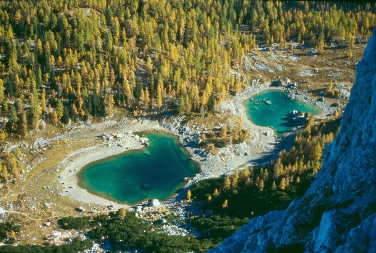 Апартаменти Soba Pri Bregarju Бохінь Екстер'єр фото