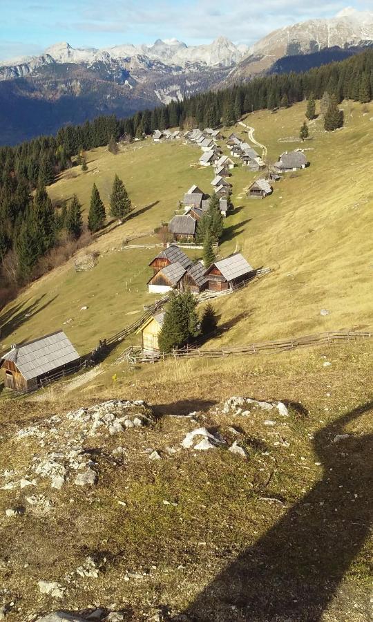 Апартаменти Soba Pri Bregarju Бохінь Екстер'єр фото